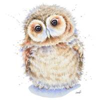 Baby Tawny Owl watercolor painting Print