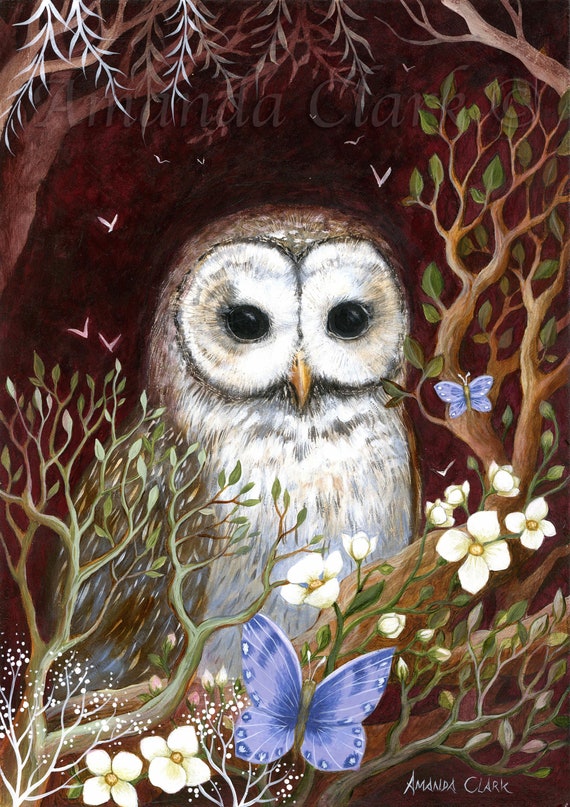 Owl and flower illustration print: The Traveller