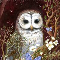 Owl and flower illustration print: The Traveller