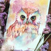 Owl oritinal watercolor painting 7.5x11 inches
