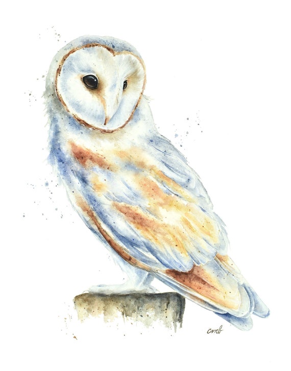 Barn Owl Watercolor Painting Print
