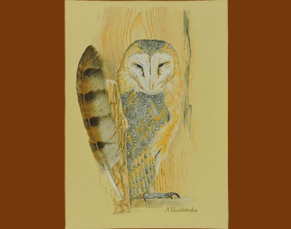 Barn owl, an original drawing with a real feather, Tyto alba.