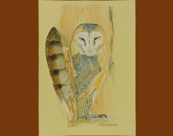 Barn owl, an original drawing with a real feather.