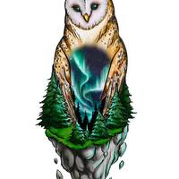 Aurora Owl Digital Print Peace In Ukraine