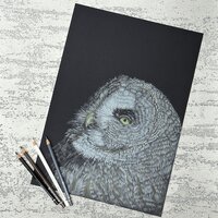 Great grey owl, portrait of an owl, an original drawing.