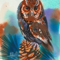Flammulated Owl: part of my 2022 A Year of Birds Challenge.  One-of-a-kind. I will donate 20...