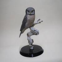 Northern Hawk Owl Wood carving
