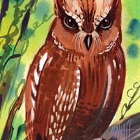 Madagascar Scops Owl is part of my 2022 A Year of Birds Challenge.  One-of-a-kind. I will do...