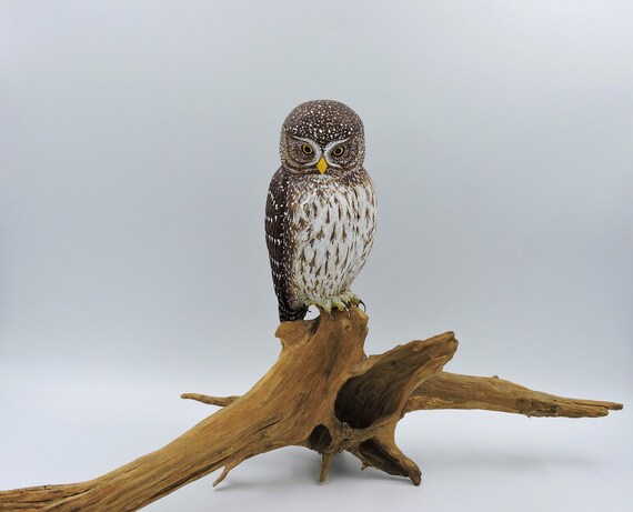 Pygmy owl on the root, a wooden sculpture of an owl, Sperlingskauz, Chevechette d' Europe.