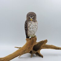 Pygmy owl on the root, a wooden sculpture of an owl, Sperlingskauz, Chevechette d' Europ...