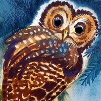 Spotted Owl is part of my 2022 A Year of Birds Challenge.  One-of-a-kind. I will donate 20% ...