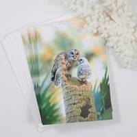 Barred Owl Note Cards, Set of 5