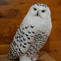 Needle felted wool Snowy Owl sculpture