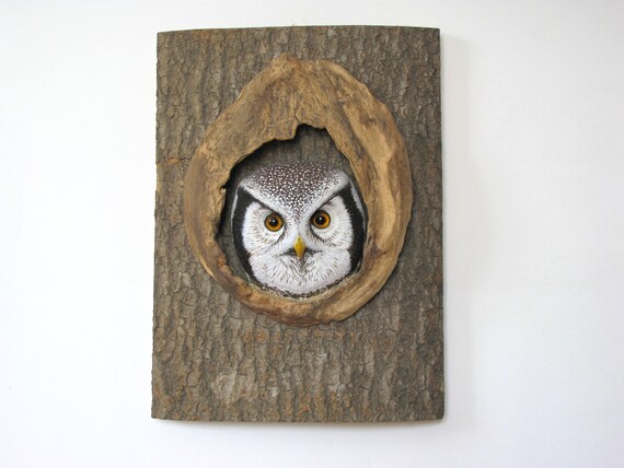 Hawk owl in a hollow, a wooden sculpture of an owl, Sperbereule, Chouette eperviere.