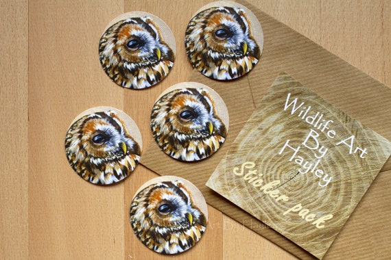 Tawny owl sticker pack, 5 x circular stickers,