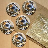 Tawny owl sticker pack, 5 x circular stickers,