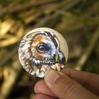 Tawny owl sticker pack, 5 x circular stickers,