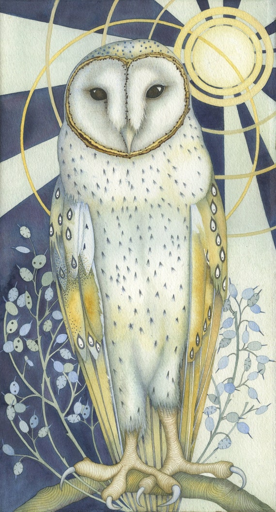 Barn Owl Fine art print: The Elegant Owl