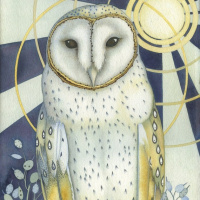 Barn Owl Fine art print: The Elegant Owl