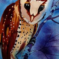 Asian Bay Owl is part of my 2022 A Year of Birds Challenge.  One-of-a-kind. I will donate 20...