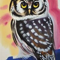 Boreal Owl is part of my 2022 A Year of Birds Challenge.  One-of-a-kind. I will donate 20% o...