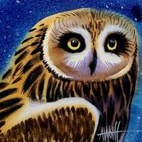 Short-Eared Owl is part of my 2022 A Year of Birds Challenge.  One-of-a-kind. I will donate ...