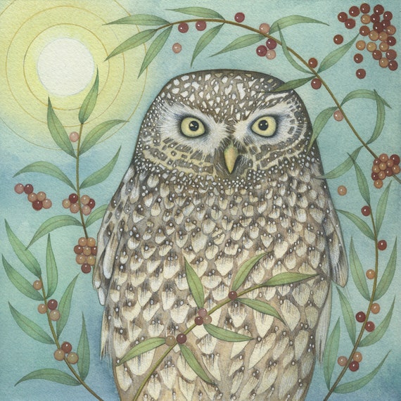 Little Owl: Fine Art print