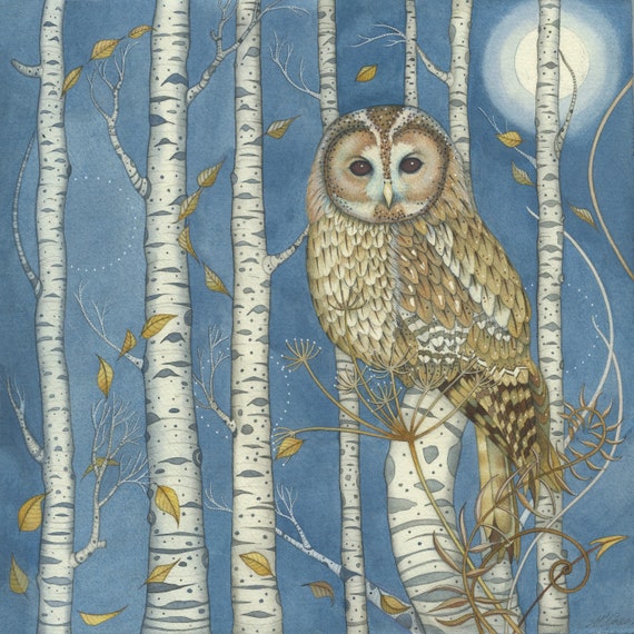Greeting Card: Tawny Owl Among the Birches