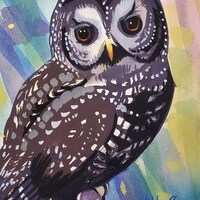 Spotted Owl is part of my 2022 A Year of Birds Challenge.  One-of-a-kind. I will donate 20% ...