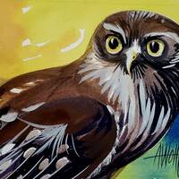 Barking Owl is part of my 2022 A Year of Birds Challenge.  One-of-a-kind. I will donate 20% ...
