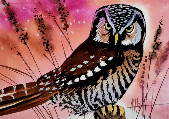 Northern Hawk Owl is part of my 2022 A Year of Birds Challenge. One-of-a-kind. I will donate 20% of the price to wildlife conservation