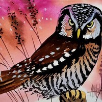 Northern Hawk Owl is part of my 2022 A Year of Birds Challenge.  One-of-a-kind. I will donat...