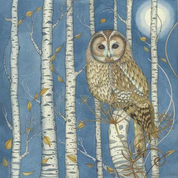 Print: Tawny Owl Among the Birches
