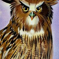 Blakiston's Fish Owl is part of my 2022 A Year of Birds Challenge.  One-of-a-kind. I wil...