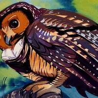 Spotted Wood Owl is part of my 2022 A Year of Birds Challenge.  One-of-a-kind. I will donate...