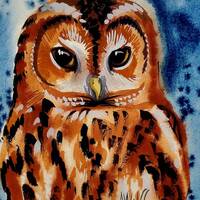 Tawny Owl is part of my 2022 A Year of Birds Challenge.  One-of-a-kind. I will donate 20% of...
