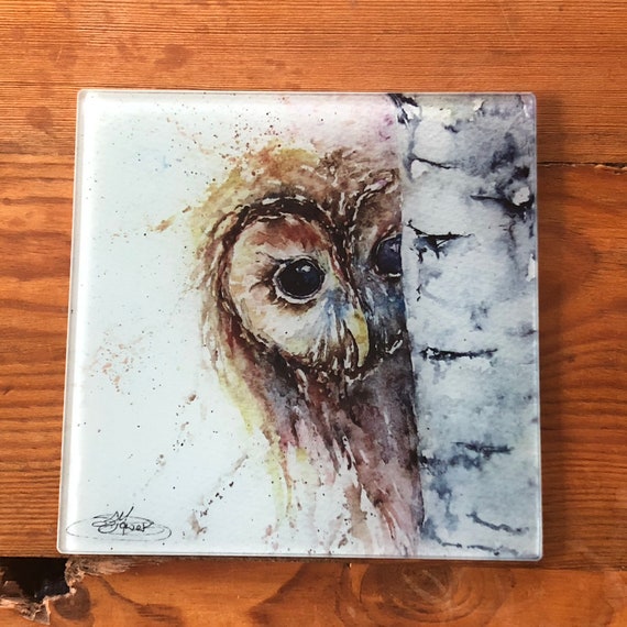 Tawny Owl Glass Trivet, Table Mat, Placemat, Pot Stand, Hot Plate, Table Protector. Wildlife Artist Sandi Mower