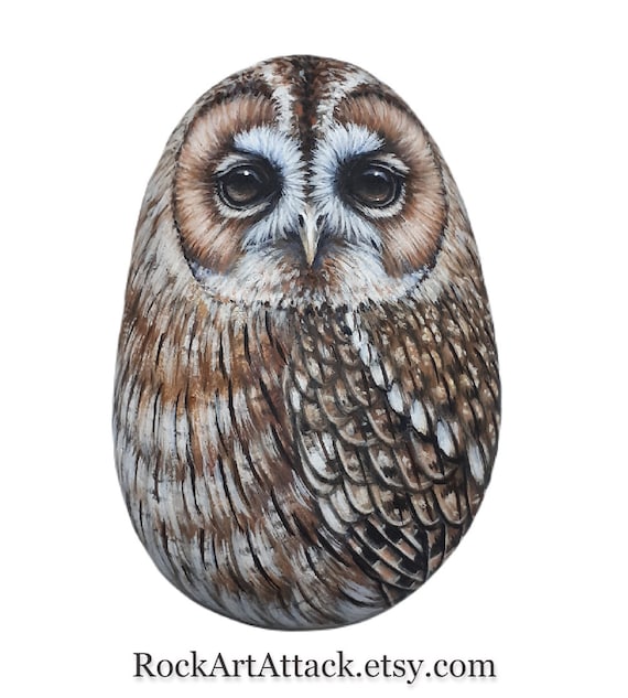 Tawny owl hand painted on sea stone