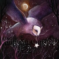 Limited edition Barn Owl print - Hunter of Starlight
