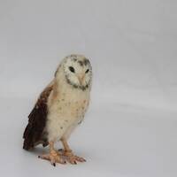 Needle Felted Owl . Barn owl.