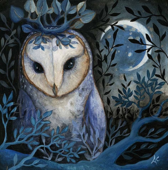 Limited edition Barn Owl print - King of the Trees