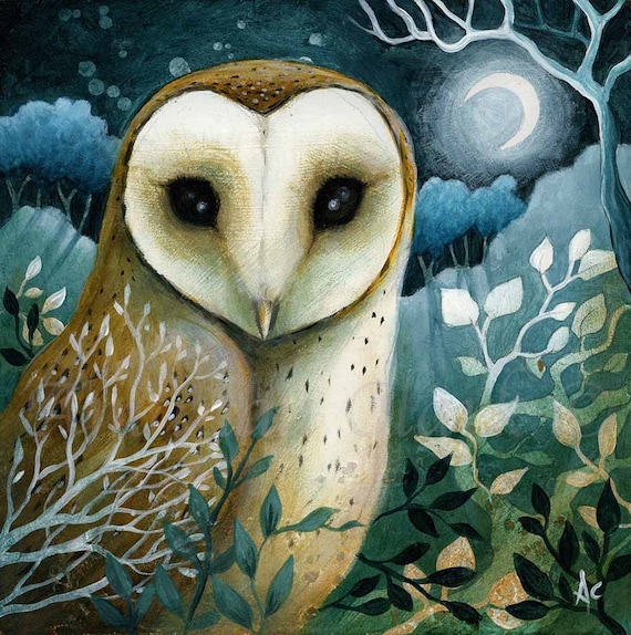 Limited edition Barn Owl print - Summer Moon