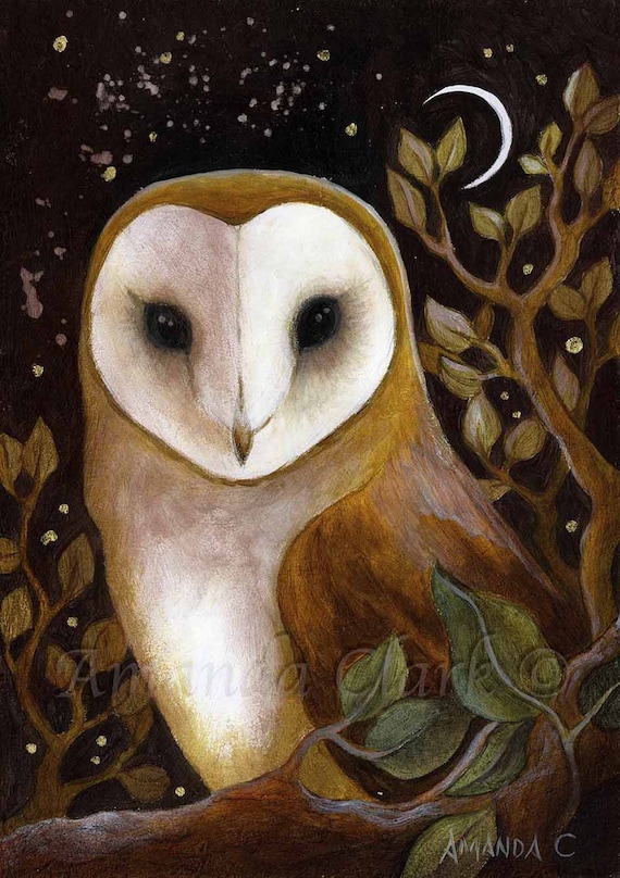 Barn Owl art print - Night Watcher