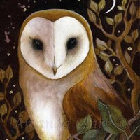 Barn Owl art print - Night Watcher