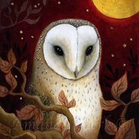 Barn Owl art print - The Red Night