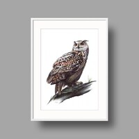 Eurasian Eagle Owl original Ballpoint pen drawing on white rec...