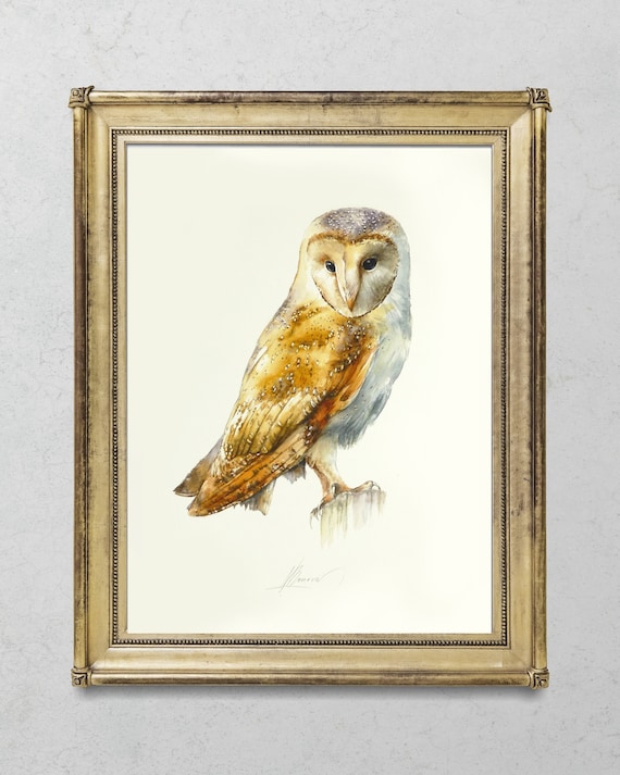 Barn Owl,  Watercolor Painting Birds, Fine Art Print, Nature Art, Collection, Home Decoration, Wall decor