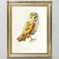 Barn Owl  Watercolor Painting Birds Fine Art Print