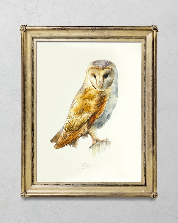 Barn Owl original watercolour Painting