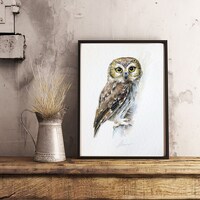 Northern Saw-whet Owl, Watercolor Painting Birds, Fine Art Print, Nature Art, Collection, Ho...